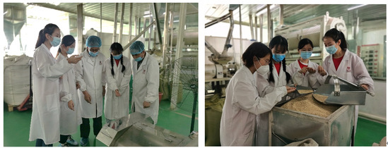 燕麦之香传四方——青年红色筑梦之旅中的技术交流与产业赋能